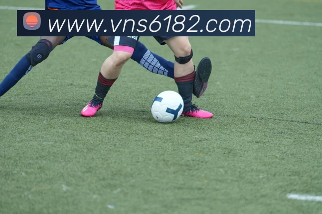 威尼斯人官方网站平台生态图